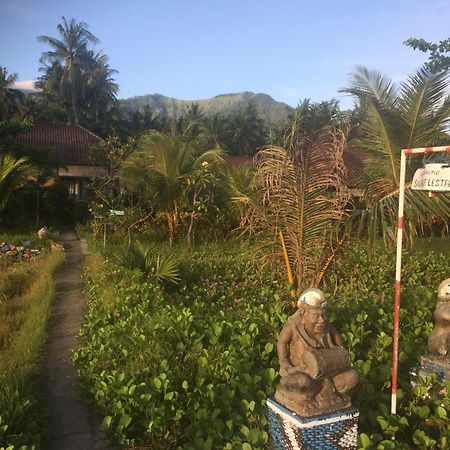 Bali Segara Lestari Oceanfront Villas Tejakula Exterior foto