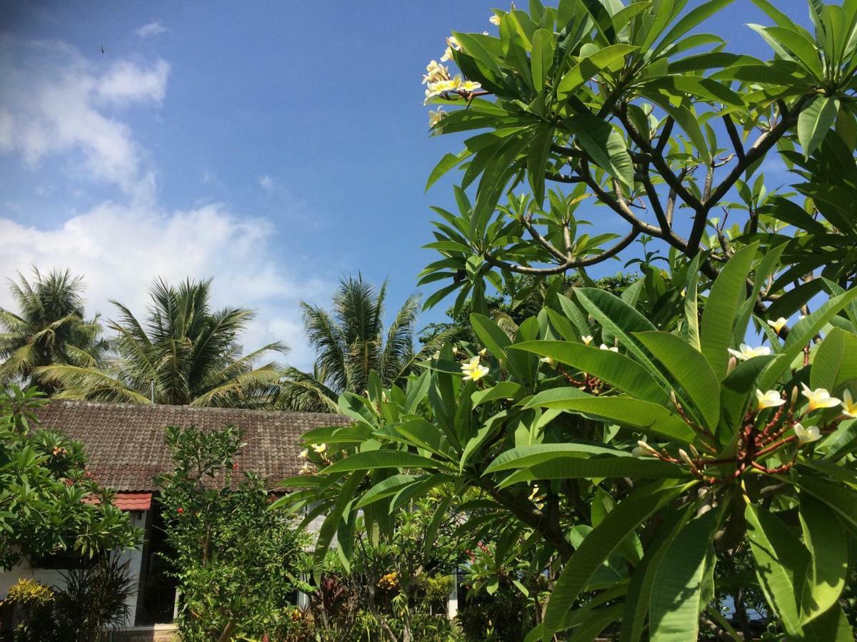 Bali Segara Lestari Oceanfront Villas Tejakula Exterior foto