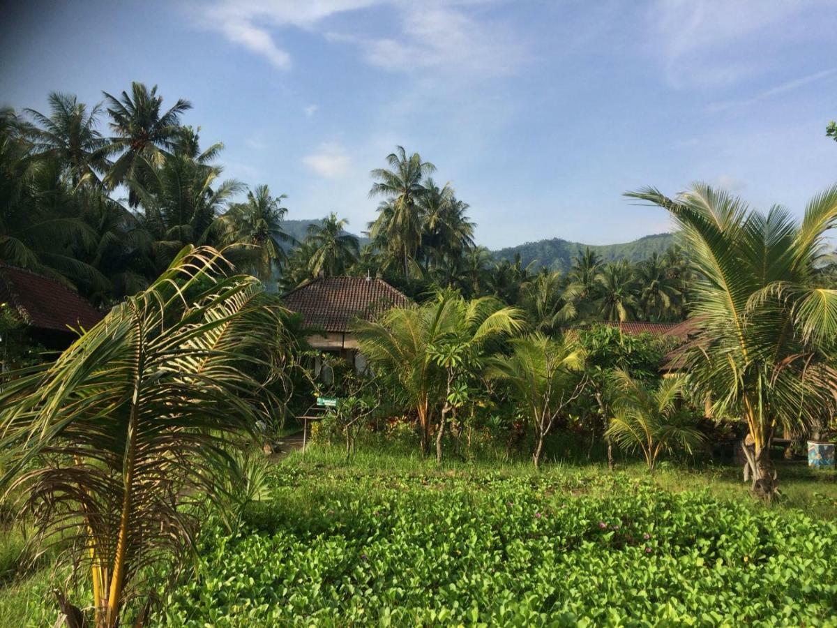Bali Segara Lestari Oceanfront Villas Tejakula Exterior foto